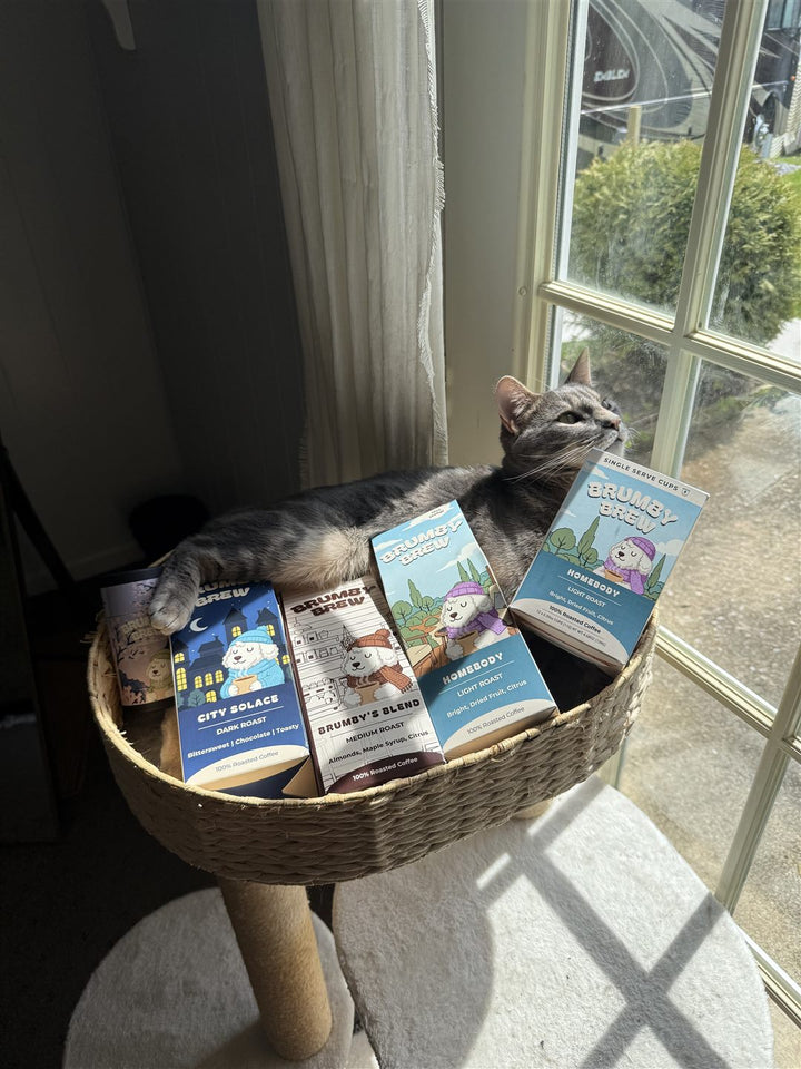 Cat lounging in a basket of Brumby Brew boxes