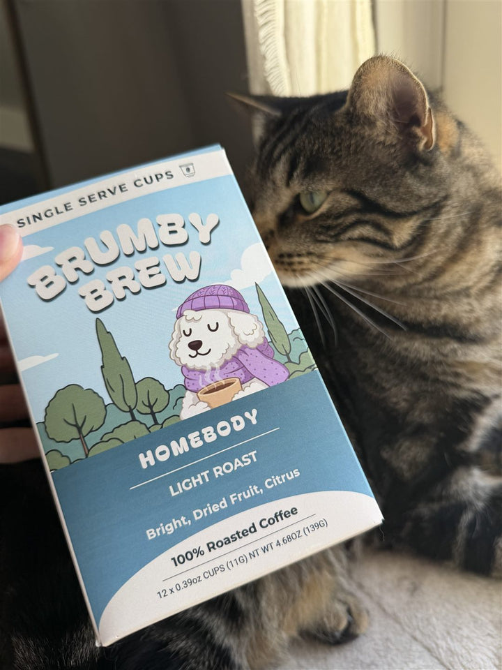Cat next to a Brumby Brew Homebody pods box